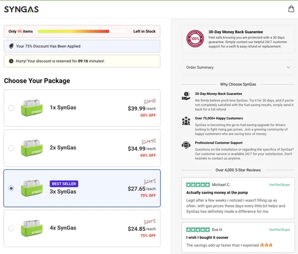Secure checkout page on the SynGas official website